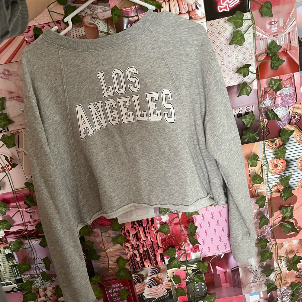 Long Sleeve Gray Crop Top